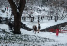 Tormenta invernal en el noreste de EE.UU. obliga a declarar emergencias y prohibir viajes tormenta invernal