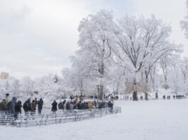 Un muerto y miles de personas sin electricidad por la tormenta en el noreste de EE.UU. Nueva York despierta con la primera nevada de la temporada