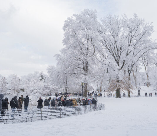Un muerto y miles de personas sin electricidad por la tormenta en el noreste de EE.UU. Nueva York despierta con la primera nevada de la temporada
