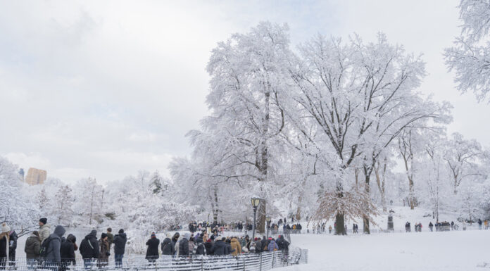 Nueva York despierta con la primera nevada de la temporada