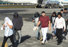 Más de 30.000 hondureños han sido deportados de EE.UU., México y Guatemala en 2026 Deportación de guatemaltecos desde EEUU cae un 22 % en 2025, a pesar de medidas de Trump