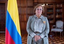 Rosa Villavicencio