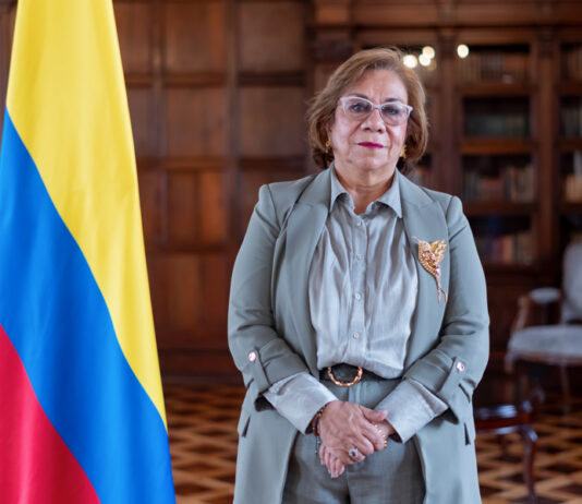 Rosa Villavicencio