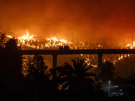Chile: 16 muertos en incendios forestales en dos regiones del sur