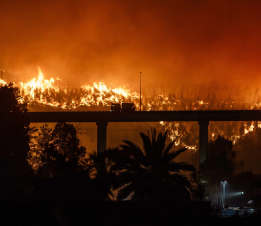 Chile: 16 muertos en incendios forestales en dos regiones del sur