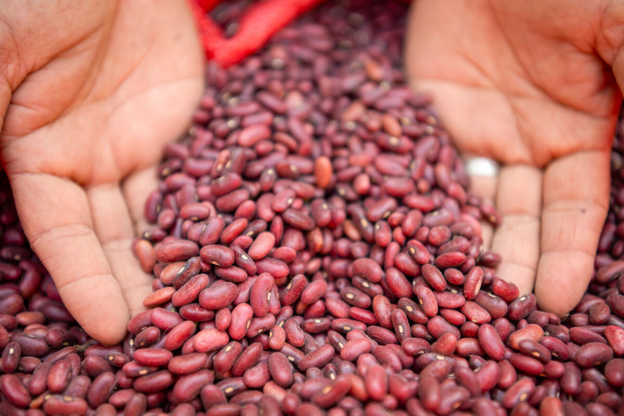 Plan del WFP: comida fresca a los escolares y progreso a los agricultores en Latinoamérica