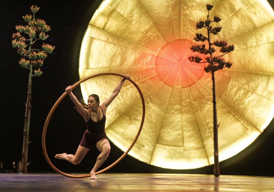 LUZIA by Cirque du Soleil behind the scenes in Miami