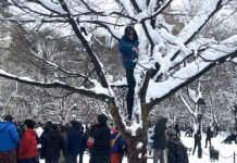 Un arrestado por agredir a policías en multitudinaria batalla de nieve en Nueva York La ventisca histórica en Nueva York da paso a una batalla campal de bolas de nieve