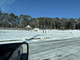 'Abolir ICE', el nombre de un camión quitanieves que ganó una consulta popular en Chicago camiones-quitando-nieve-en-una-carretera-