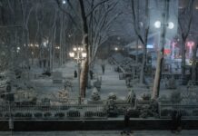Nueva York prohíbe la circulación de vehículos no esenciales ante llegada de la tormenta tormenta invernal