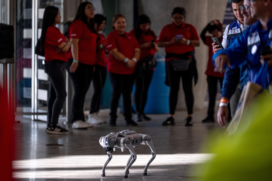 Perros robots reforzar&aacute;n la seguridad durante los partidos del Mundial en norte de M&eacute;xico