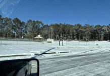 'Abolir ICE', el nombre de un camión quitanieves que ganó una consulta popular en Chicago camiones-quitando-nieve-en-una-carretera-