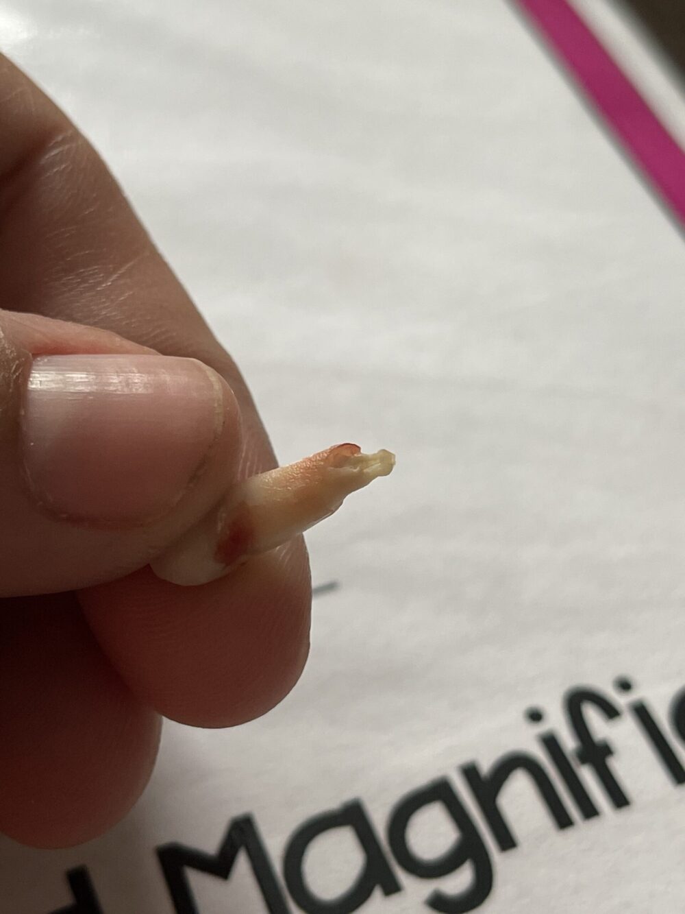 DentalER_02