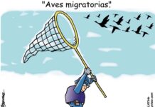 caricatura