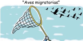 caricatura