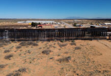 Hallan 73 cadáveres de migrantes en el desierto de Arizona en lo que va de 2026 EEUU construye muro negro en la frontera con México para dificultar escalada de migrantes