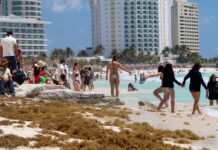 playa impactada por el sargazo