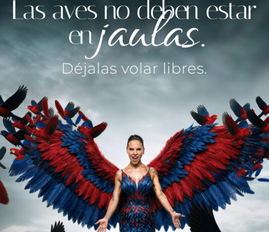 Kate del Castillo