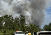 La sequía y fuertes vientos agravan control de más de 200 incendios en Florida y Georgia