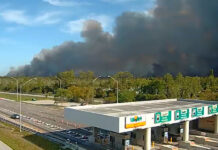 Crece un incendio forestal en Florida y obliga a evacuaciones masivas Un incendio