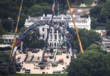 Construyen un estadio en la Casa Blanca para la pelea de la UFC por el cumpleaños de Trump Construyen un estadio en la Casa Blanca