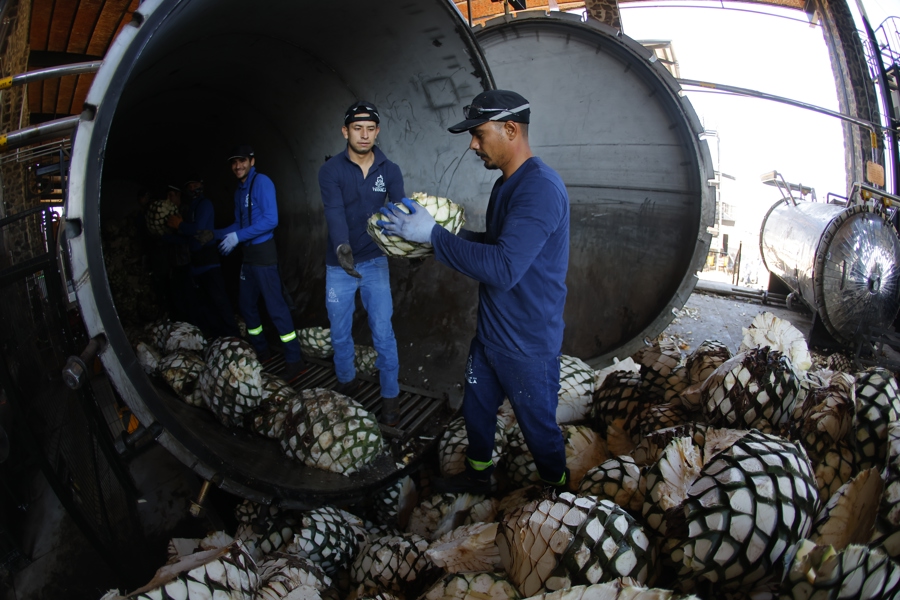 Pueblo mexicano de Tequila espera su recuperaci&oacute;n econ&oacute;mica con el turismo mundialista