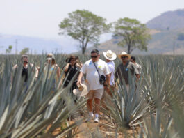 Pueblo mexicano de Tequila espera su recuperación económica con el turismo mundialista Pueblo mexicano de Tequila espera su recuperación económica con el turismo mundialista