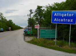 centro de detención 'Alligator Alcatraz'