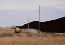 Derriban un árbol centenario en Arizona para construir el muro fronterizo pese a protestas muro fronterizo.