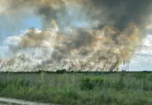 Dos fuertes incendios arden en los Everglades, el mayor ecosistema natural de Florida Dos fuertes incendios arden en los Everglades, el mayor ecosistema natural de Florida