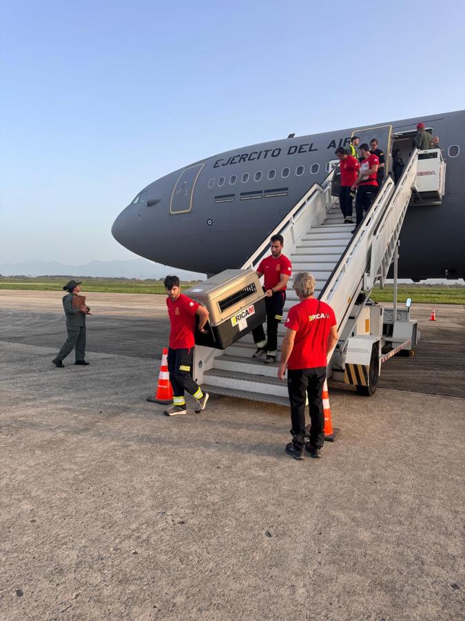 El equipo USAR de la UME, capaz de desplegar en horas en cualquier lugar del mundo