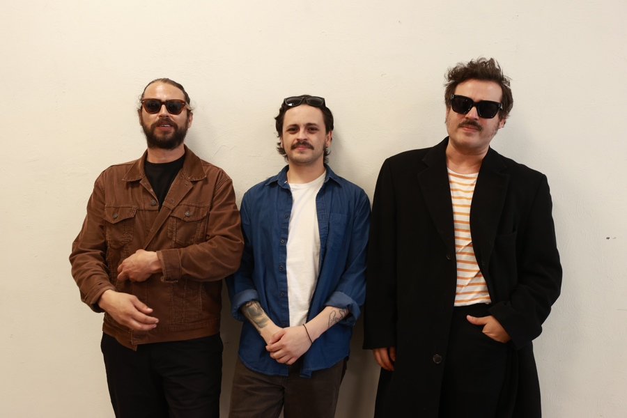 Integrantes del grupo mexicano de rock Enjambre