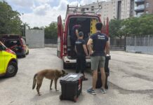 Bomberos, perros, drones, forenses: así ayuda la comunidad internacional a Venezuela Un grupo de bomberos valencianos especializados en rescate preparados para volar a Venezuela