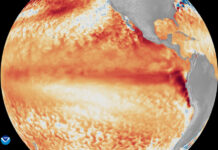 El fenómeno El Niño tiene 69 % de probabilidad de ser el más fuerte desde que hay registro El fenómeno El Niño se forma en el Pacífico con previsión de ser "muy fuerte", avisa EEUU