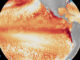 El fenómeno El Niño tiene 69 % de probabilidad de ser el más fuerte desde que hay registro El fenómeno El Niño se forma en el Pacífico con previsión de ser "muy fuerte", avisa EEUU