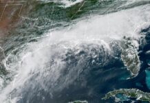 Futura tormenta en el Atlántico se llamará 'Dolly', una coincidencia tras muerte de Parton el estado del clima en el Golfo de México.