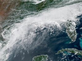 La tormenta Edouard se fortalece rumbo a Texas y Luisiana y puede tomar fuerza de huracán el estado del clima en el Golfo de México.