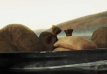 Corto español reta a la IA en Tribeca: "A pico y pala" y sin tecnología generativa