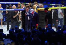 UFC Freedom 250