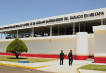 Planta de moscas estériles en México facilitará la reapertura de la frontera con EE.UU. Planta de moscas estériles en México facilitará la reapertura de la frontera con EE.UU.