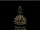 Telón de Agave logo negro