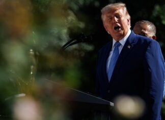 Trump acusa a Canadá de imponer "enormes aranceles" a agricultores de EE.UU.: "¡Se acabó!" Donald Trump