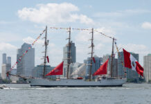 Nueva York celebra Independencia de EE.UU. con muestra de "poder" y desfile naval y aéreo Nueva York celebra Independencia de EE.UU. con muestra de "poder" y desfile naval y aéreo