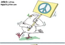 Ataque a la paz caricatura