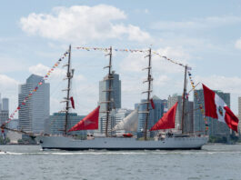 Nueva York celebra Independencia de EE.UU. con muestra de "poder" y desfile naval y aéreo Nueva York celebra Independencia de EE.UU. con muestra de "poder" y desfile naval y aéreo