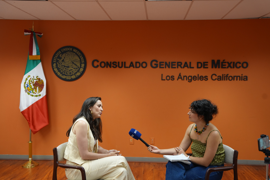 México busca reforzar con cultura sus vínculos con su comunidad en EE.UU.