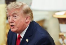 Trump dice que pidió retirarse de las primarias al congresista de Florida que perdió ayer President Trump