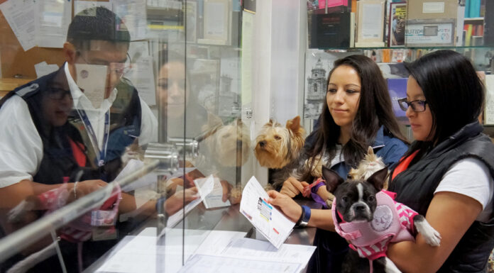 México exige inspección de perros y aves que entren de EE.UU. por casos de gusano barrenador
