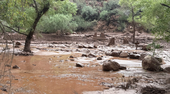 Inundaciones repentinas en el Gran Cañón dejan 15 desaparecidos y decenas de evacuados