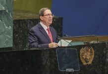 Bruno Rodriguez